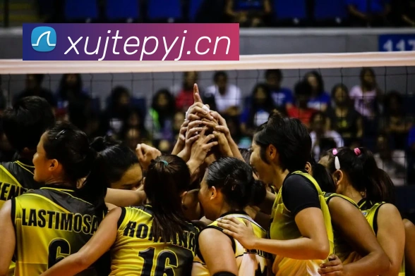 九游体育app官网首页平台生态图